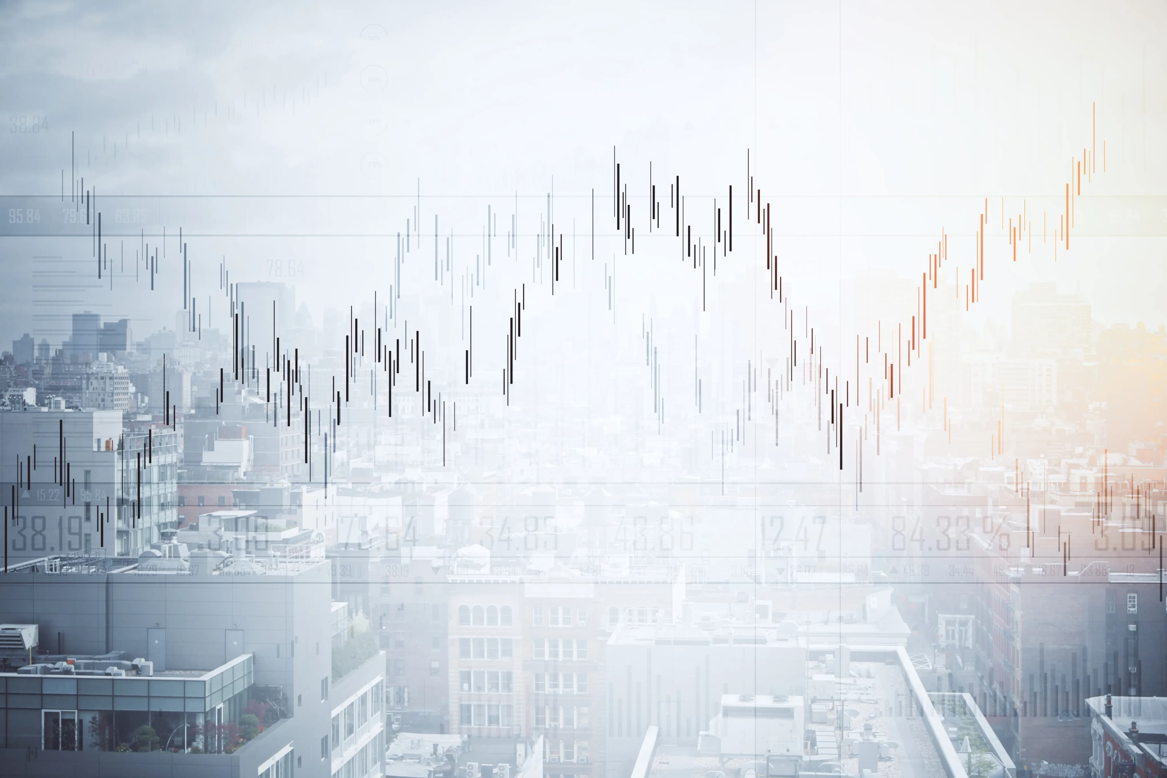 The Amazon.ca Playbook: Protecting Your Brand from Unauthorized Grey-Market Sellers.